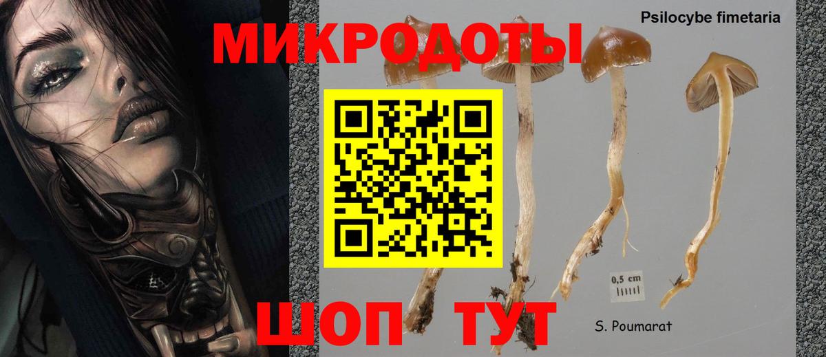 Лосино-Петровский  Галлюциногенные грибы мицелий  Вход с VPN 